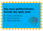 Kartenspiel Kartenspiel