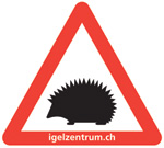 Igelwarnkleber Igelwarnkleber