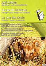 Video Igel-Leben Video Igel-Leben