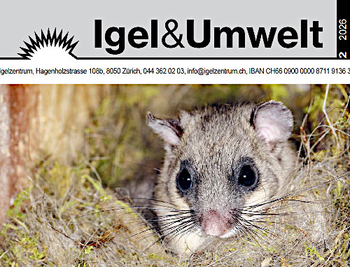 Titelbild Herbstzeitung 2026